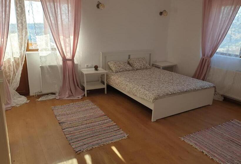 Пансион Casuta De La Munte