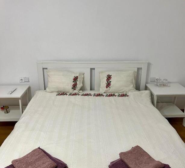 Пансион Casuta De La Munte