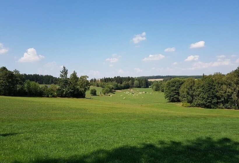 Пансион Landgasthof Grüner Baum