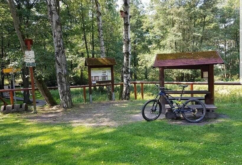 Пансион Landgasthof Grüner Baum