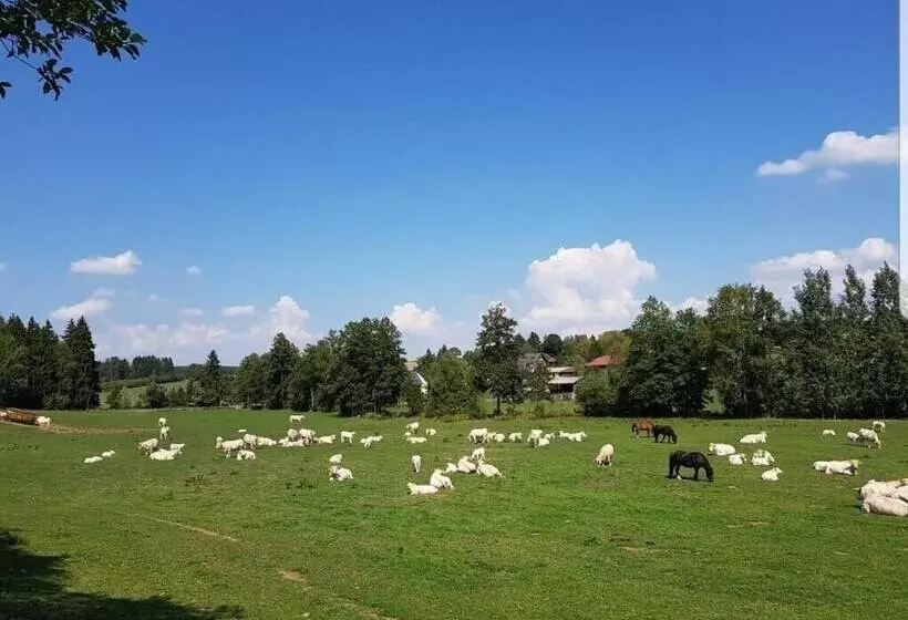 Majatalo Landgasthof Grüner Baum