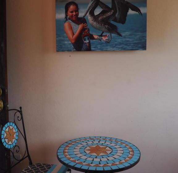 پانسیون Mision Surf