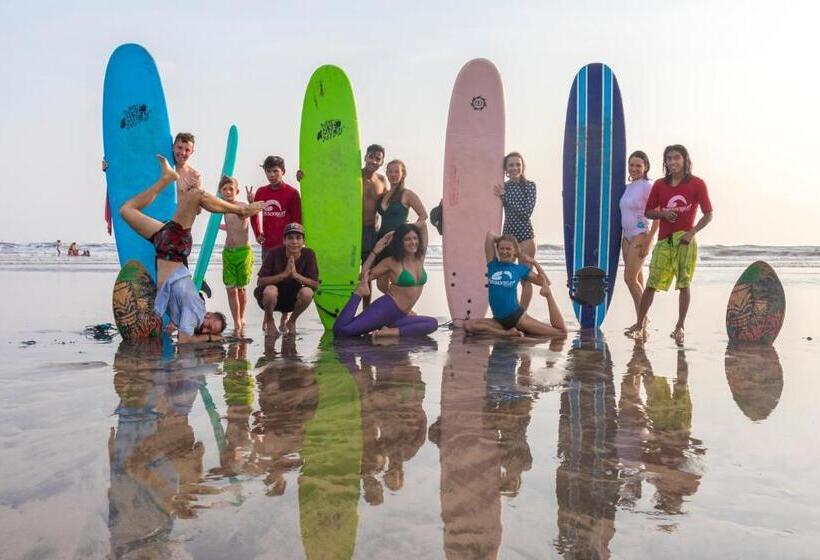 پانسیون Mision Surf