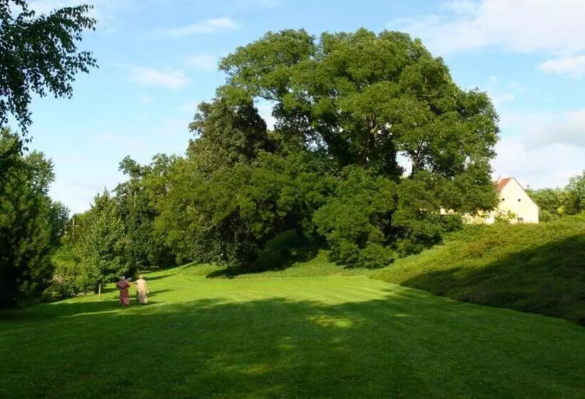 ペンション Svastics Kúria