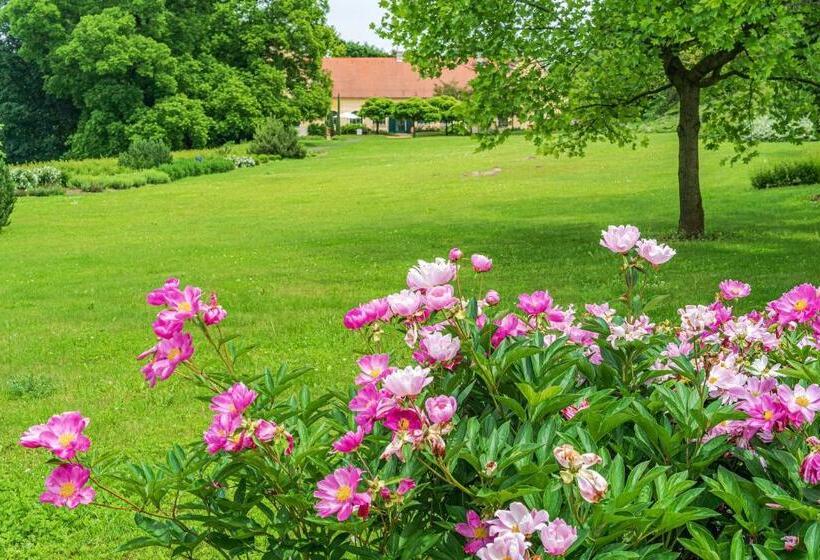 Пансион Svastics Kúria