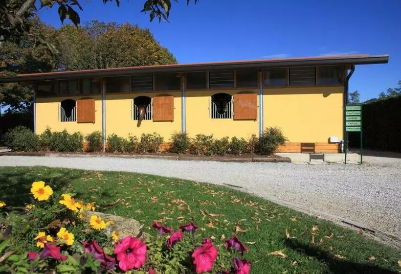 ベッドアンドブレックファースト Agriturismo Monsereno Horses