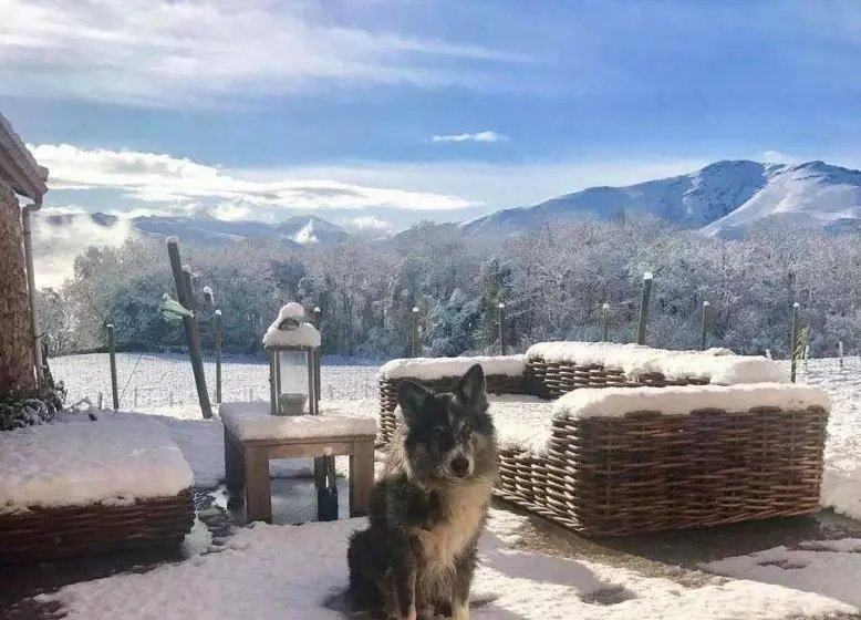 Aamiaismajoitus (B&B) Maison Chulubitenia