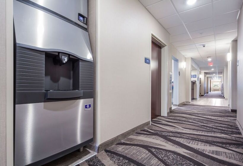 Отель Cobblestone Inn & Suites  Fremont