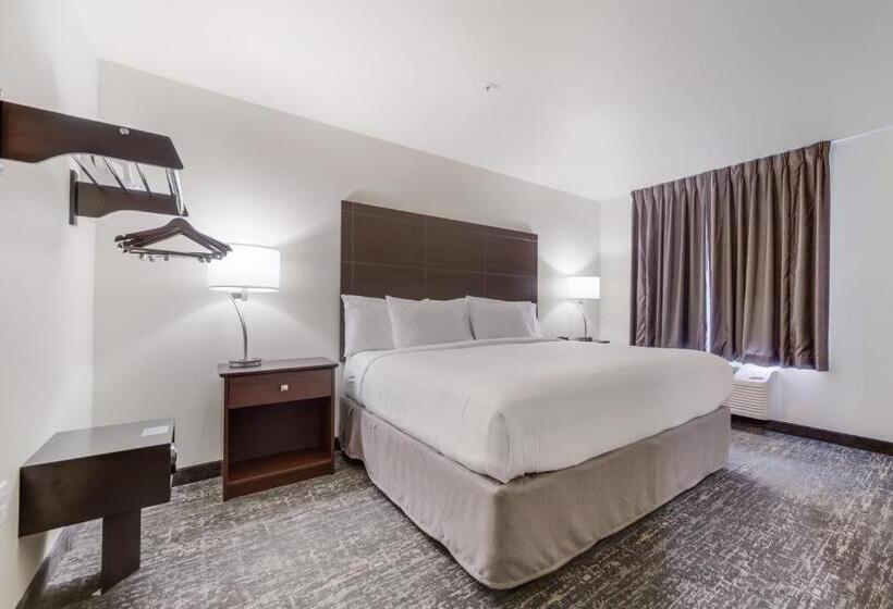 Отель Cobblestone Inn & Suites  Fremont