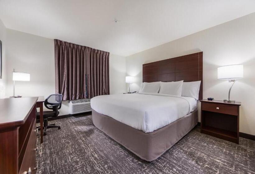 Отель Cobblestone Inn & Suites  Fremont