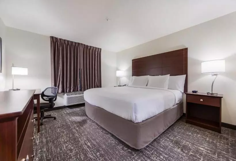 ホテル Cobblestone Inn & Suites  Fremont