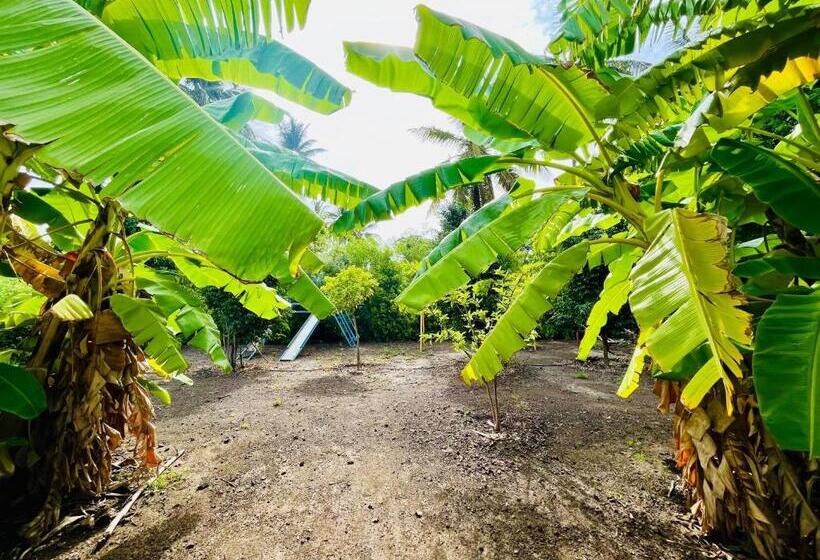 Отель Yugankur Farm House