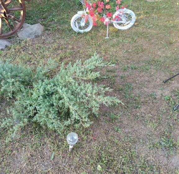 بنسيون Casa Bizau