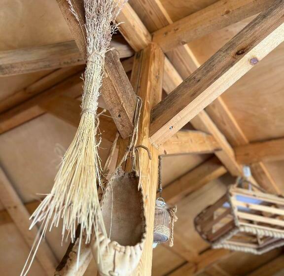 膳宿费 Forest Inn