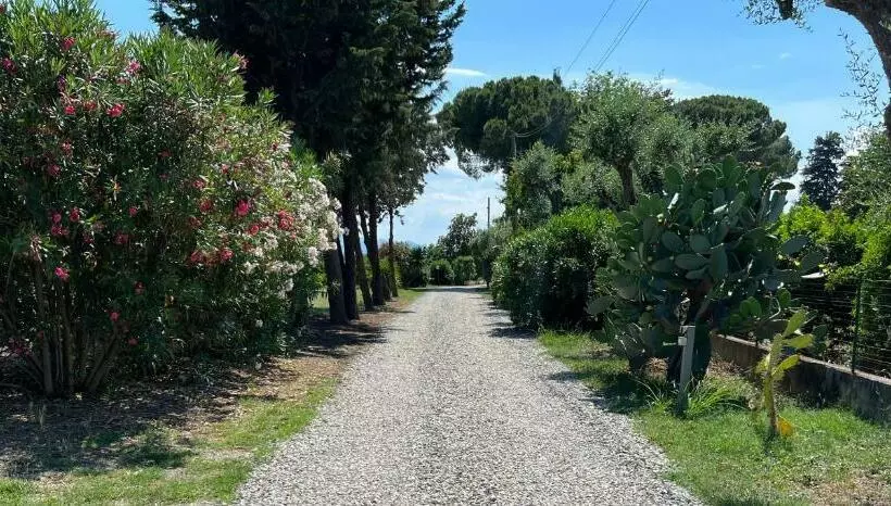 ホテル Masseria Brica Rossa