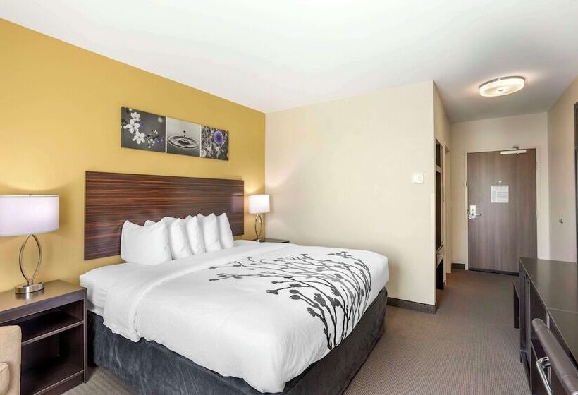 호텔 Sleep Inn North  Central York