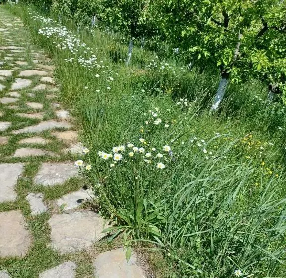 Pensiunea Agroturistica Casa Jucan