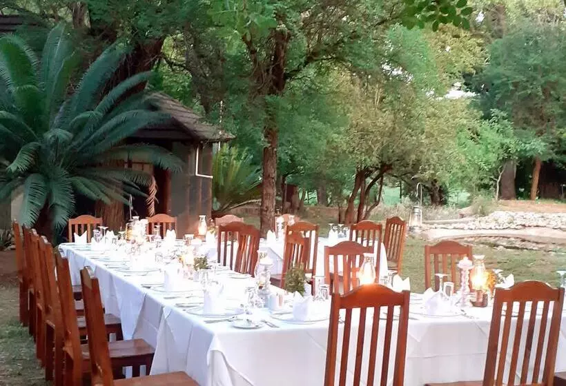 酒店 Karongwe Portfolio   Chisomo Safari Camp