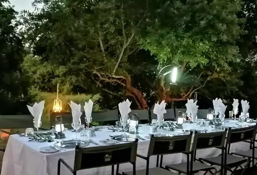 酒店 Karongwe Portfolio   Chisomo Safari Camp