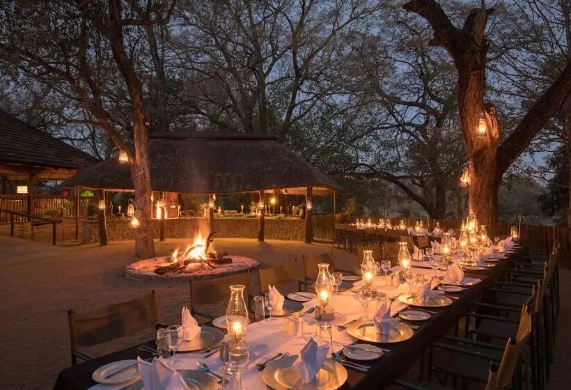 酒店 Karongwe Portfolio   Chisomo Safari Camp