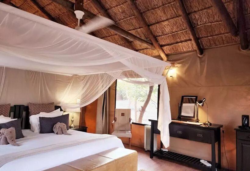 酒店 Karongwe Portfolio   Chisomo Safari Camp