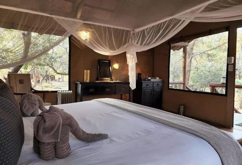 酒店 Karongwe Portfolio   Chisomo Safari Camp