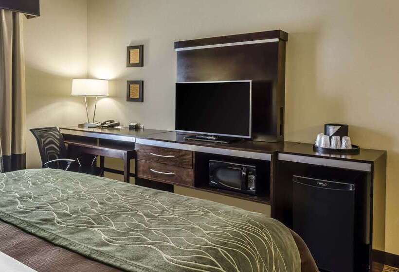 호텔 Comfort Inn & Suites Dothan East