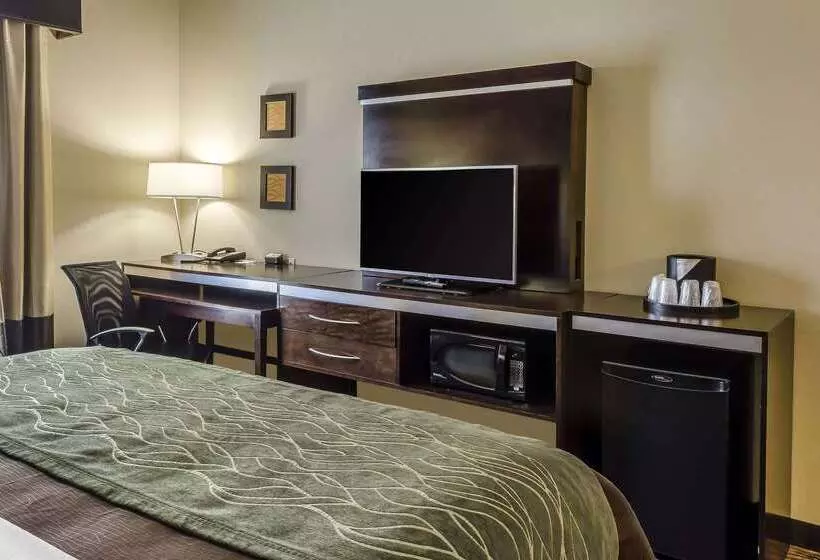 فندق Comfort Inn & Suites Dothan East