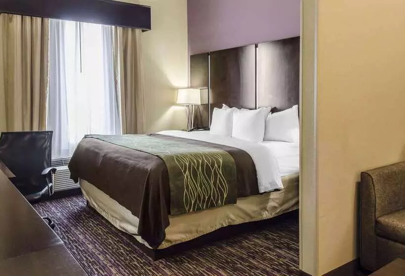 فندق Comfort Inn & Suites Dothan East