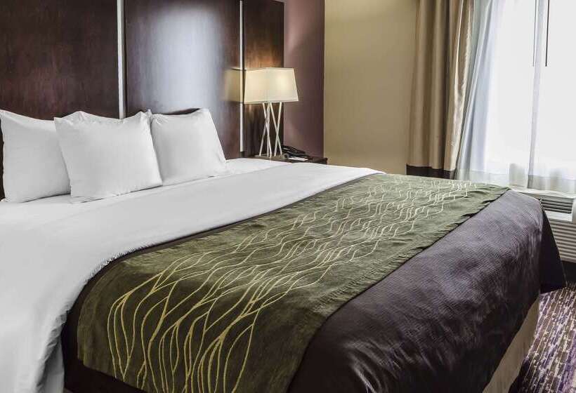 호텔 Comfort Inn & Suites Dothan East