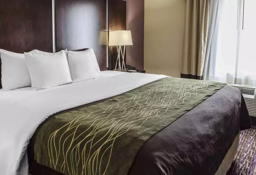 فندق Comfort Inn & Suites Dothan East