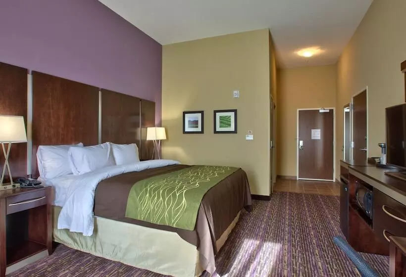 فندق Comfort Inn & Suites Dothan East