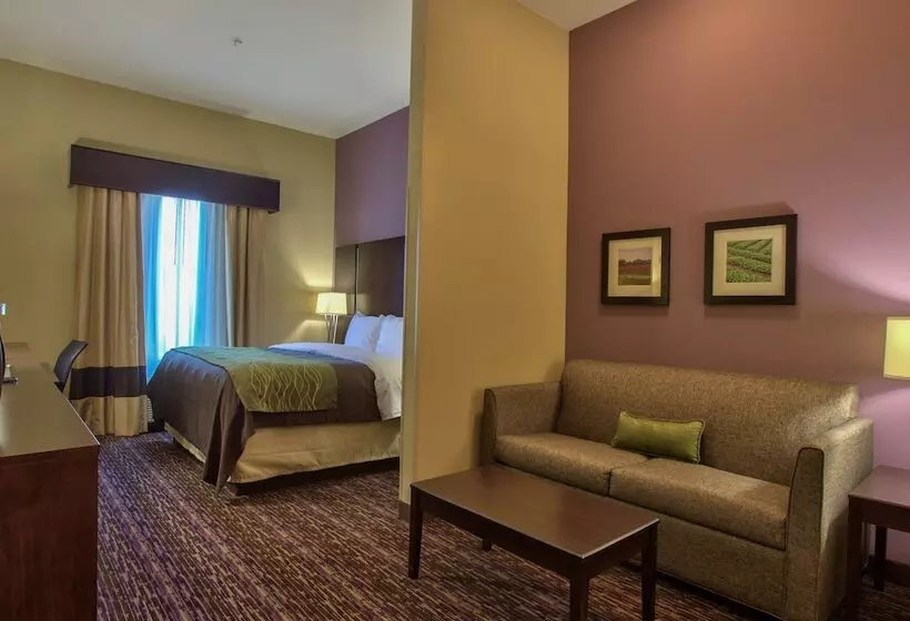 فندق Comfort Inn & Suites Dothan East
