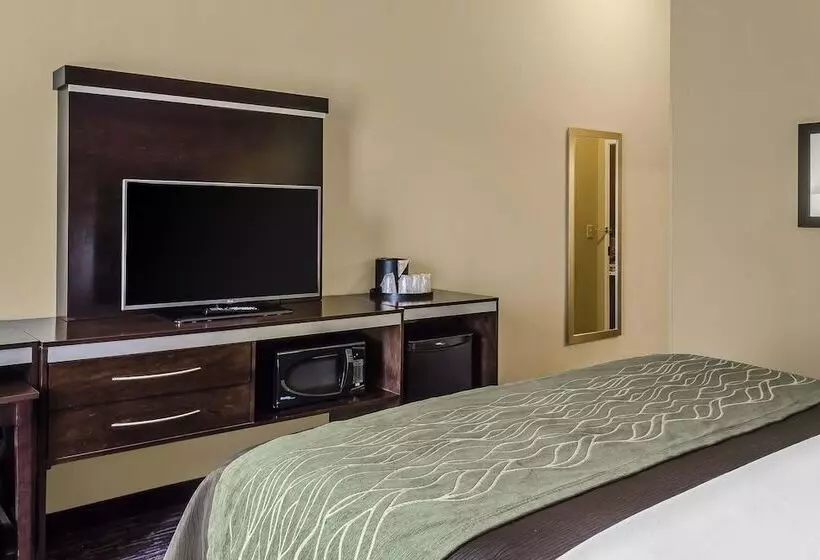 فندق Comfort Inn & Suites Dothan East