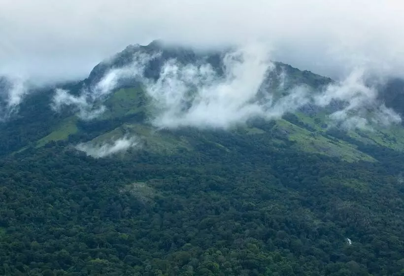 酒店 Dream Catcher Plantation Resort