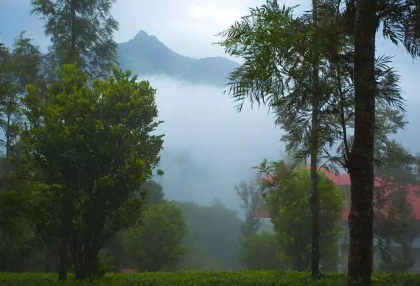 酒店 Dream Catcher Plantation Resort