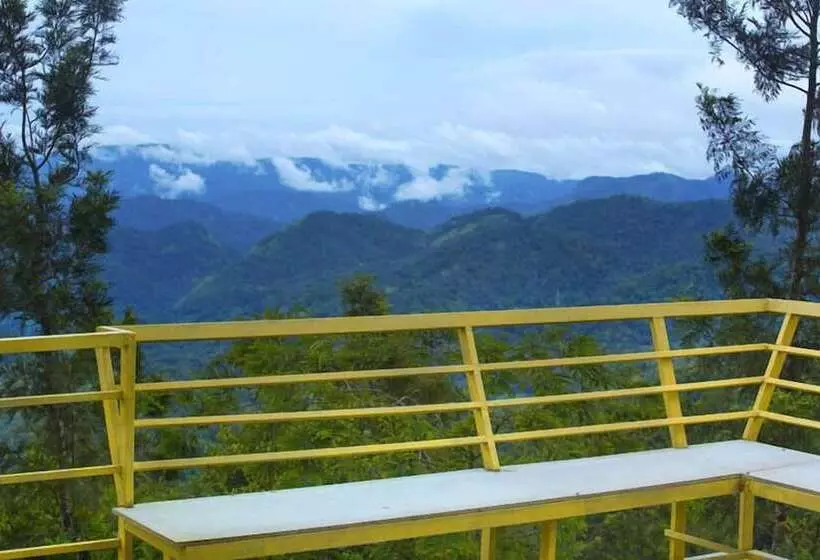 酒店 Dream Catcher Plantation Resort