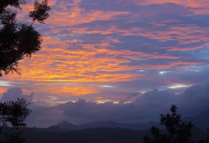 酒店 Dream Catcher Plantation Resort