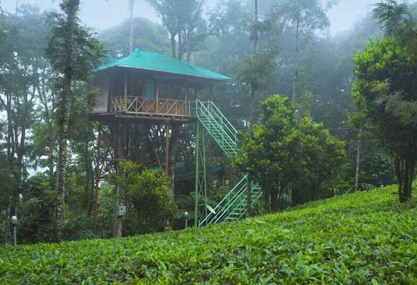 Szálloda Dream Catcher Plantation Resort