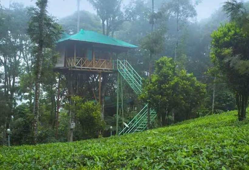 酒店 Dream Catcher Plantation Resort