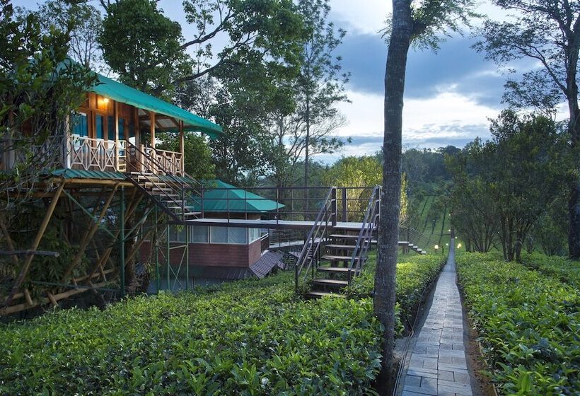 Szálloda Dream Catcher Plantation Resort