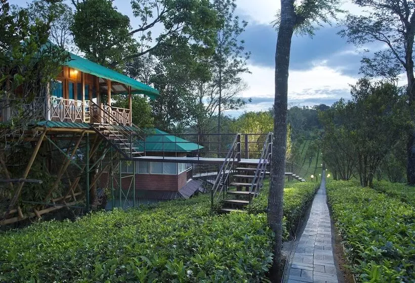 酒店 Dream Catcher Plantation Resort