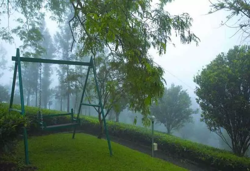 酒店 Dream Catcher Plantation Resort