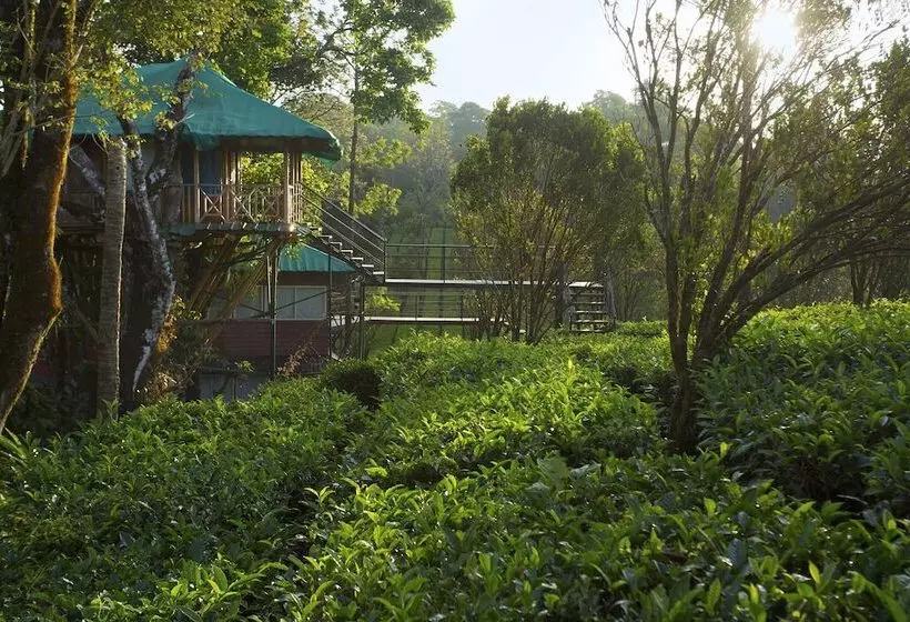 酒店 Dream Catcher Plantation Resort