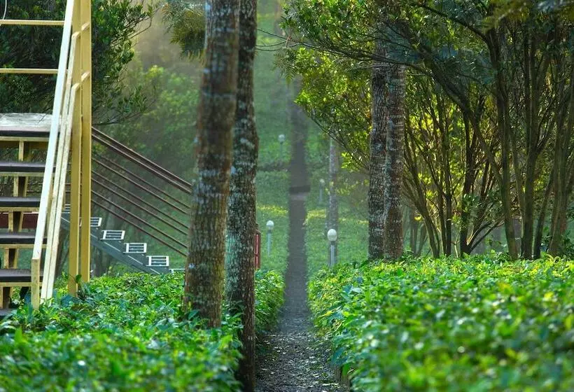 酒店 Dream Catcher Plantation Resort