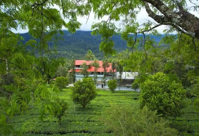 酒店 Dream Catcher Plantation Resort
