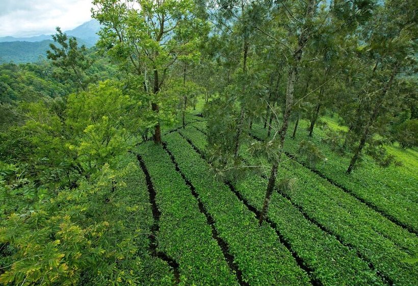 Szálloda Dream Catcher Plantation Resort