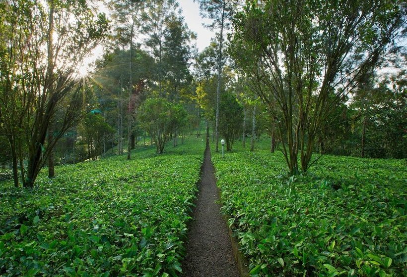 Szálloda Dream Catcher Plantation Resort