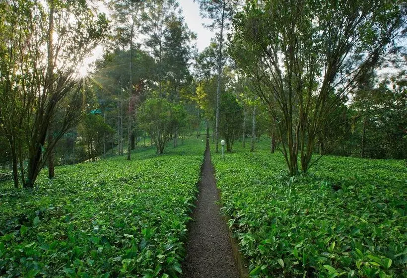 酒店 Dream Catcher Plantation Resort