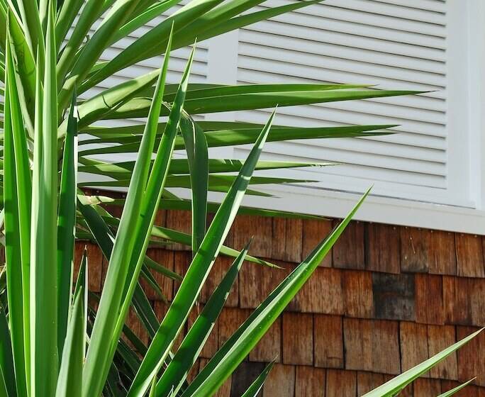 هتل Hôtel Plein Soleil